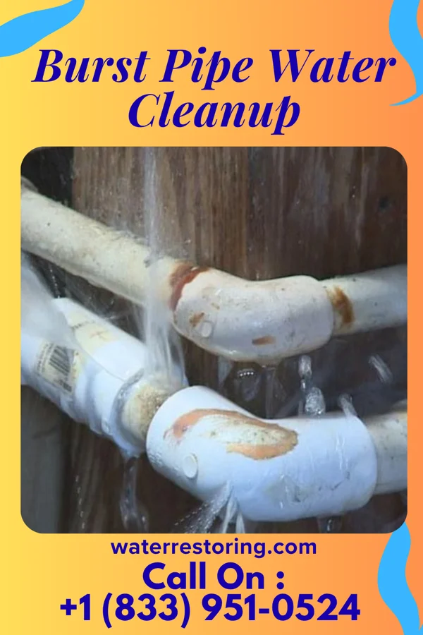 Burst Pipe Water Cleanup in Franklin Lakes, NJ