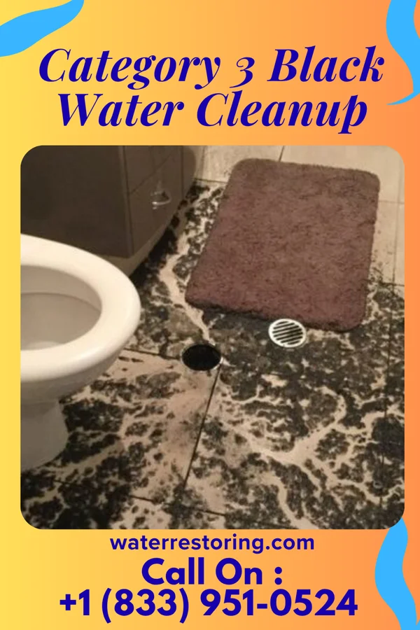 Category 3 Black Water Cleanup in Franklin Lakes, NJ