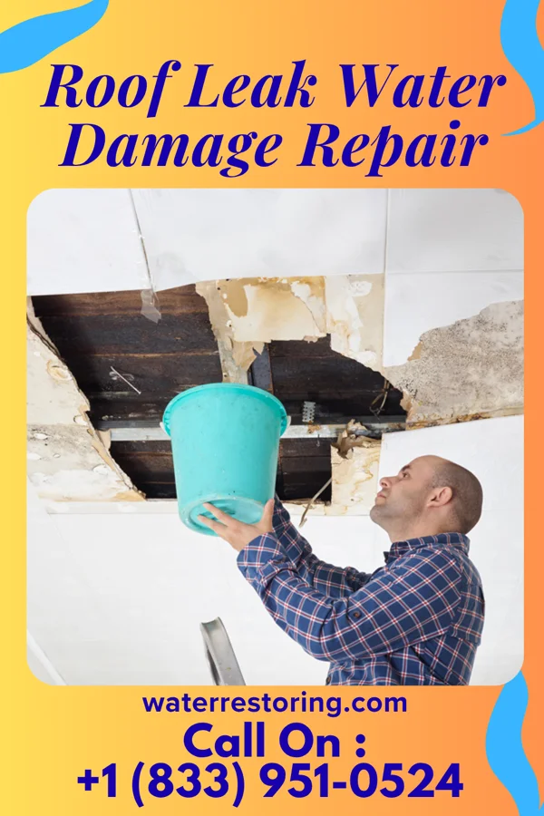 Roof Leak Water Damage Repair in Franklin Lakes, NJ